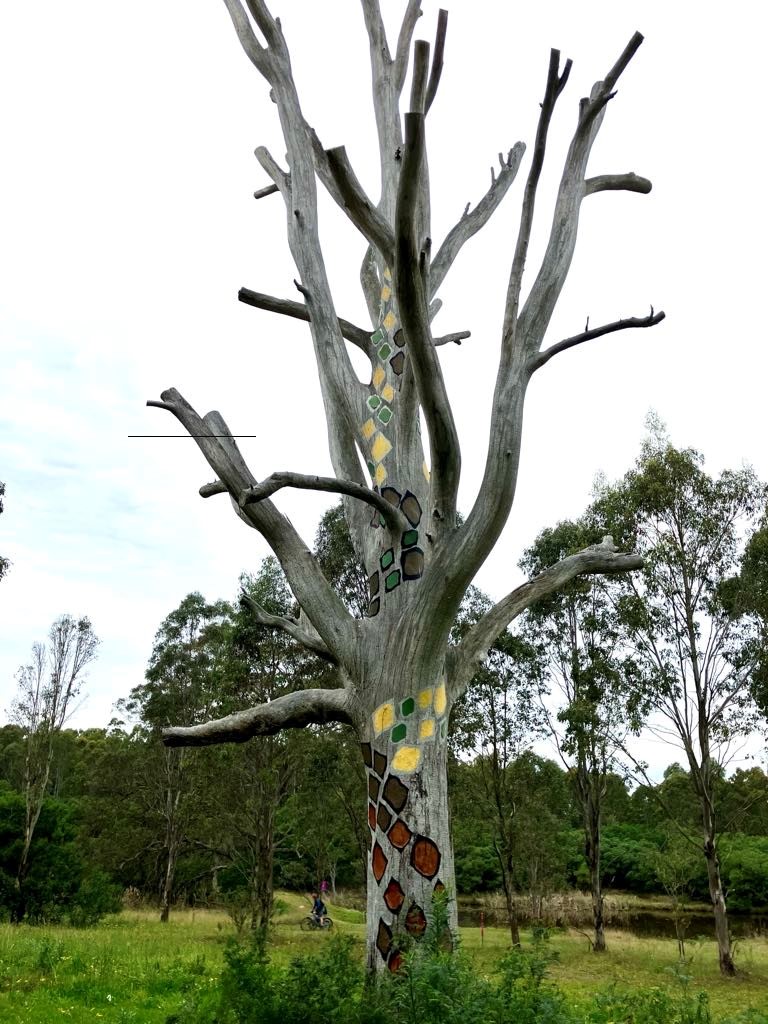 Dugara Guwara - cold and windy
Around September – October 

Dugara (very cold)  

Guwara (windy)  

 

During this season, maliya (the diamond python) wakes from its hibernation and seek its mate. 

Maliya is a common species in the Western Sydney plains and Blue Mountains. They are a known food source for Dharug, but mainly when other foods are unavailable.   

Artwork by Shay Tobin, Djon Mundine, Jamie Eastwood and Balarinji  